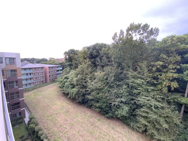 アンビシャス南柏の周辺|目の前は麗澤大学の森で落ち着いた住環境となっております