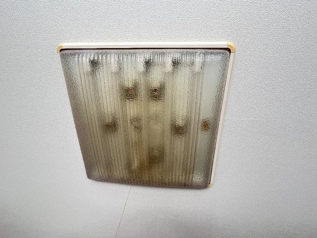 メルシーＹ＆Ｋのその他