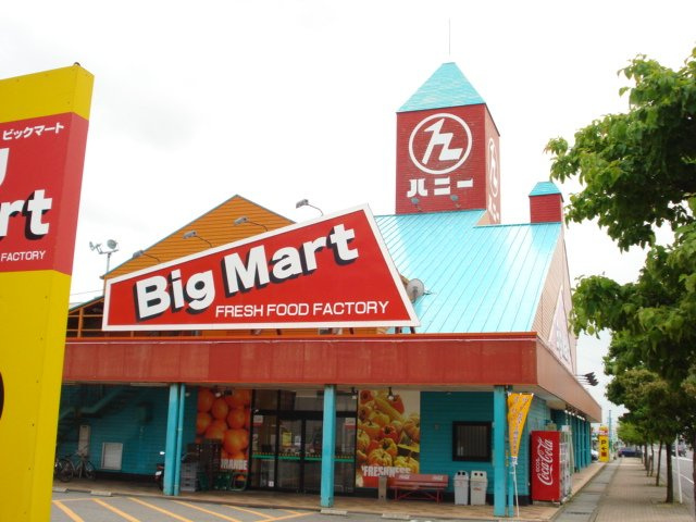 クレシアの周辺|BigMart金津店まで2,389ｍ