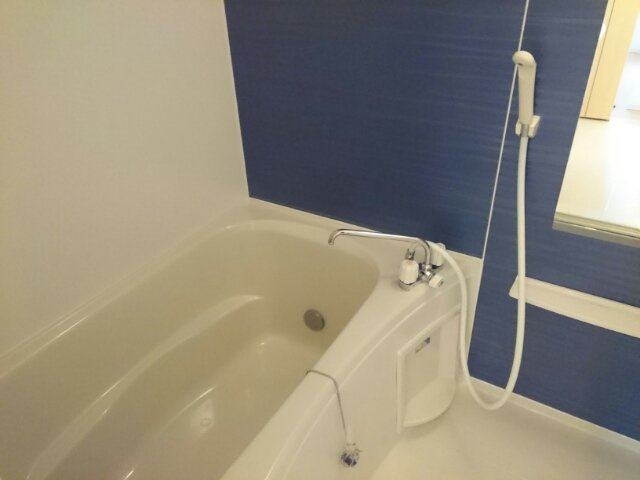 ザオバーレイⅡの浴室