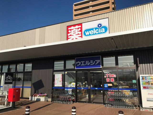 レオパレスコスモの周辺