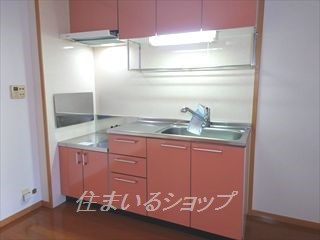 広島市安佐北区亀山６丁目のアパートのキッチン|浄水器一体型シャワー水栓・床下収納あり