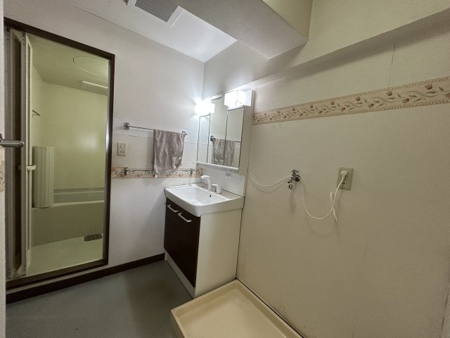 リッチド阿南2の洗面所