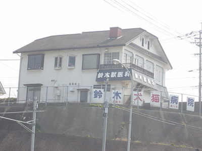 【周辺】 | パームヒルズさくら | 動物病院まで800ｍ