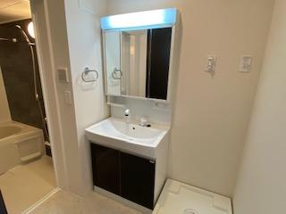 【洗面所】 | Front du lac（フロン　デュ　ラック） | 洗髪洗面化粧台