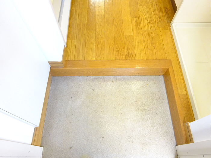 カオパレスNo20の玄関