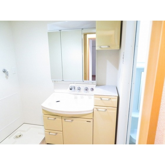 ロイヤルヒルズ浦和の洗面所|洗面所