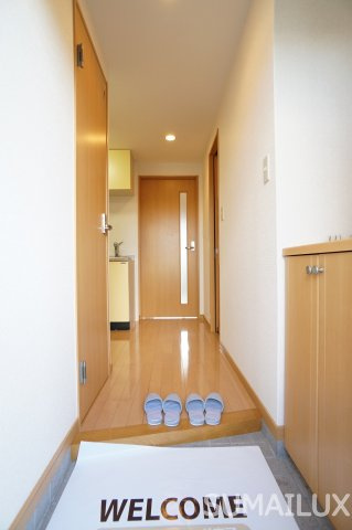 熊本市西区島崎２丁目の賃貸マンションの玄関