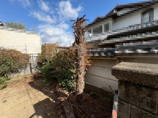 【外観】 | ピカピカのお家で始まる新生活が楽しみですね！素敵なマイホームを一緒に考えましょう♪