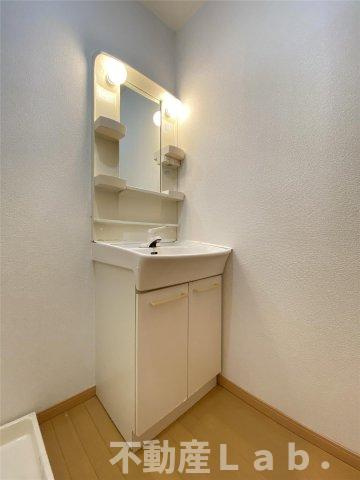 ハウスおがわの洗面所