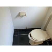 落ち着いた色調のトイレです