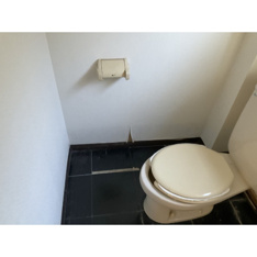 落ち着いた色調のトイレです