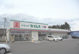 セイムス宮台店まで900m