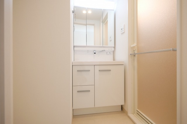 グランディール大今里の洗面所