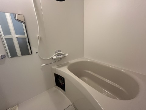 ジーメゾン春日部粕壁カヴェリの浴室