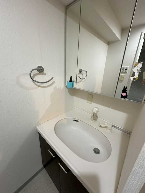 ソルフィエスタ住吉の独立洗面台