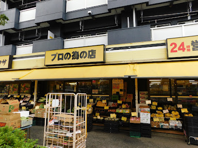 ソルフィエスタ住吉の周辺