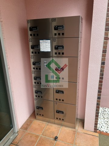 ココアのその他