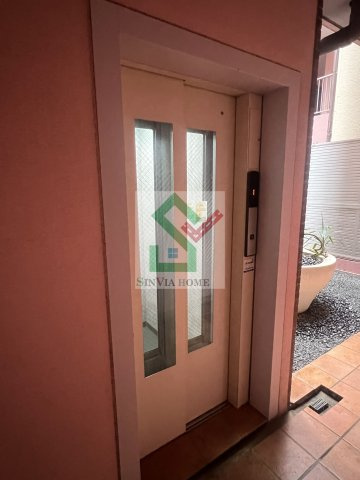 ココアのその他