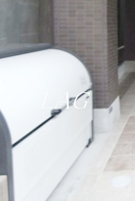 【その他共用部分】 | グレイスコート南千住 | ゴミ捨て場になります。