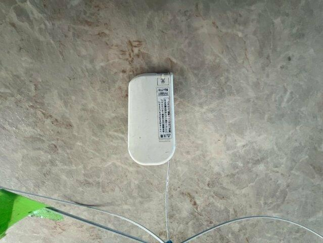 ＮＫビルの庭|202号室 