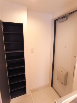 シュネシスのその他