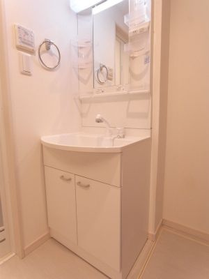 シュネシスの独立洗面台