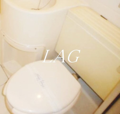 【トイレ】 | 日興パレス池袋ＰＡＲＴⅡ | トイレです。