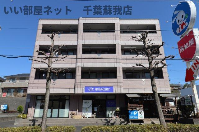 Ｓｕｍｍｅｒ　Ｒｏｕｇｅ