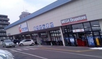 サンフローラＡの周辺|カワシ薬品福島東店まで1300m