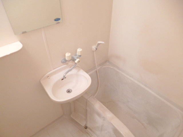 カーザイケガミの洗面所