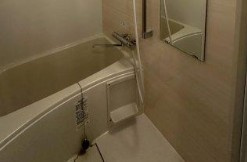 カテリーナ千住大橋の浴室