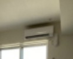 グレイス堀切菖蒲園の設備