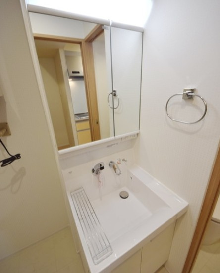 プラム二長町の洗面所