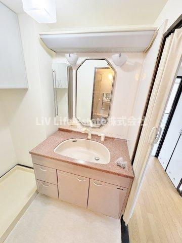 新武蔵野スカイハイツの洗面所