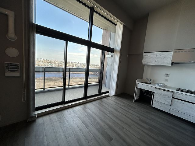 ブランシエスタ新丸子リバーフロントの居間・リビング