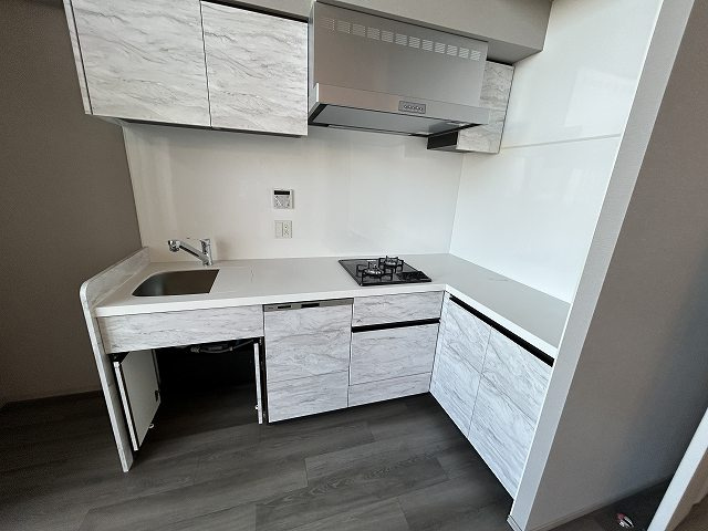 ブランシエスタ新丸子リバーフロントのキッチン