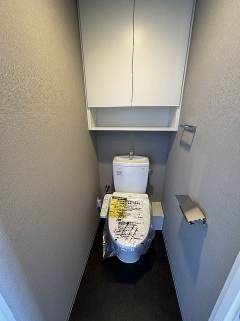 ブランシエスタ新丸子リバーフロントのトイレ