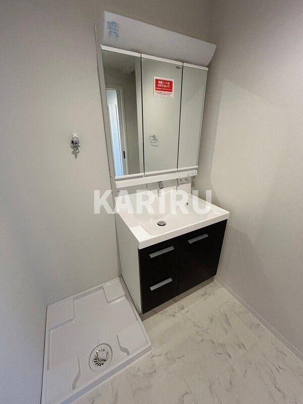 ルミエール今里の洗面所