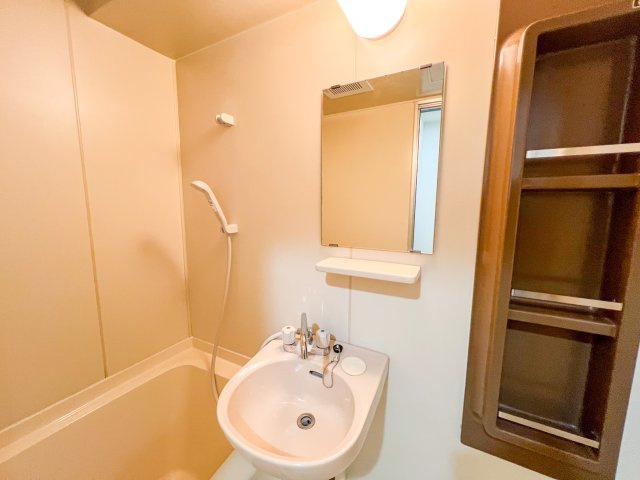 アビテⅡの洗面所