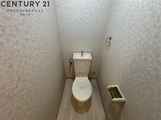落ち着いた色調のトイレです