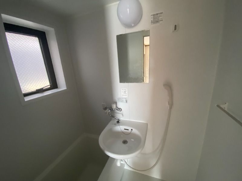 ロジュマン大裕の洗面所