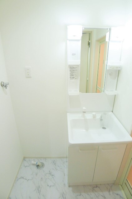 ブリエラクティⅢの洗面所