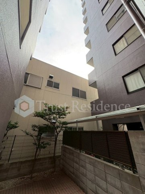 【展望】 | ディア・ハート両国