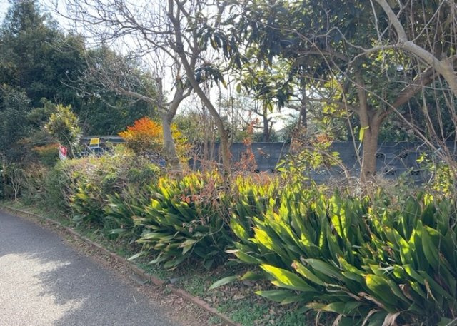【外観】 | 土地の面積＝住宅面積ではありません。建ぺい率の問題などで、土地のある場所によって住宅を建てられる面積は限られています。高さもしかり、「土地」という言葉の中には、建築条件も含まれると考えておきましょう。
