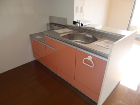 ヴェルドミール　1のキッチン