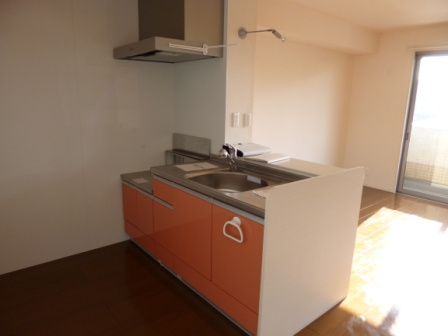 ヴェルドミール　1のキッチン