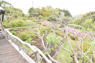 【庭】 | 霧島市霧島田口