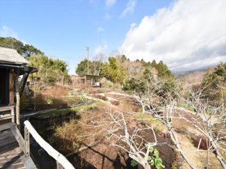 【庭】 | 霧島市霧島田口