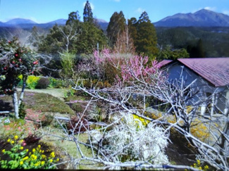 detached 霧島田口